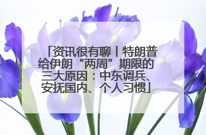 资讯很有聊丨特朗普给伊朗“两周”期限的三大原因：中东调兵、安抚国内、个人习惯