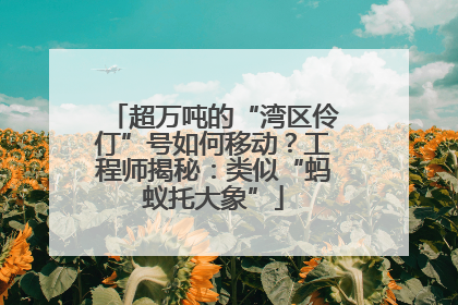 超万吨的“湾区伶仃”号如何移动？工程师揭秘：类似“蚂蚁托大象”