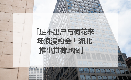 足不出户与荷花来一场浪漫约会！湖北推出赏荷地图