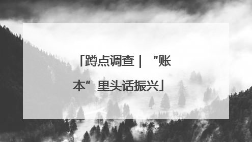 蹲点调查｜“账本”里头话振兴