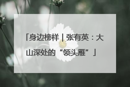 身边榜样｜张有英：大山深处的“领头雁”