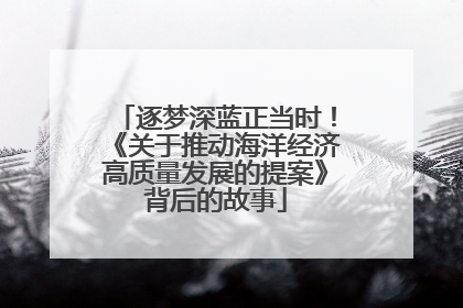 逐梦深蓝正当时！《关于推动海洋经济高质量发展的提案》背后的故事