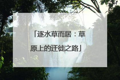 逐水草而居：草原上的迁徙之路
