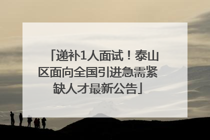 递补1人面试！泰山区面向全国引进急需紧缺人才最新公告