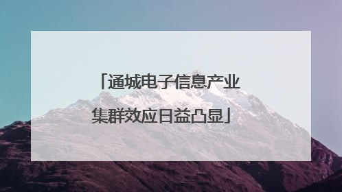 通城电子信息产业集群效应日益凸显