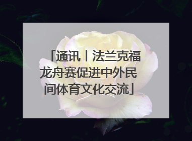 通讯丨法兰克福龙舟赛促进中外民间体育文化交流