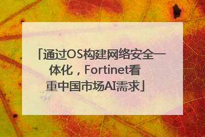 通过OS构建网络安全一体化，Fortinet看重中国市场AI需求