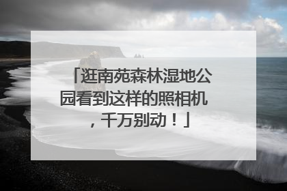逛南苑森林湿地公园看到这样的照相机，千万别动！