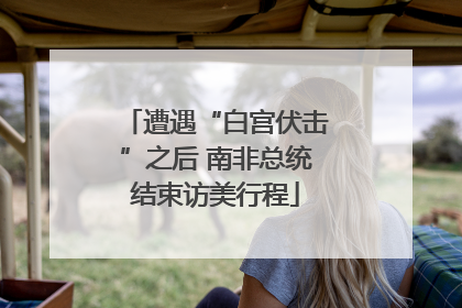 遭遇“白宫伏击”之后 南非总统结束访美行程