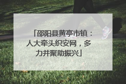 邵阳县黄亭市镇：人大牵头织安网，多力并聚助振兴