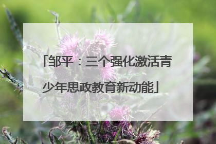 邹平：三个强化激活青少年思政教育新动能
