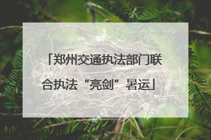 郑州交通执法部门联合执法“亮剑”暑运