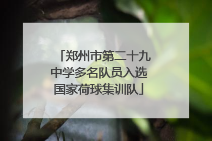 郑州市第二十九中学多名队员入选国家荷球集训队