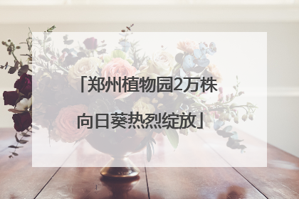 郑州植物园2万株向日葵热烈绽放