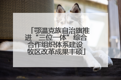 鄂温克族自治旗推进“三位一体”综合合作组织体系建设 牧区改革成果丰硕