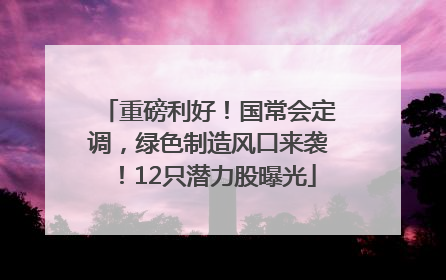 重磅利好！国常会定调，绿色制造风口来袭！12只潜力股曝光