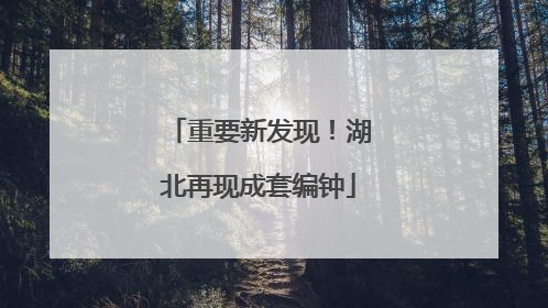 重要新发现！湖北再现成套编钟