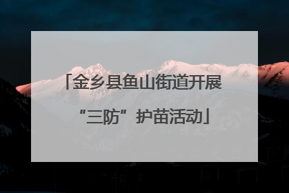 金乡县鱼山街道开展“三防”护苗活动