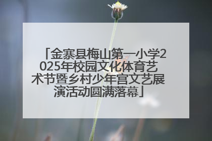 金寨县梅山第一小学2025年校园文化体育艺术节暨乡村少年宫文艺展演活动圆满落幕