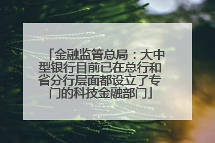 金融监管总局：大中型银行目前已在总行和省分行层面都设立了专门的科技金融部门