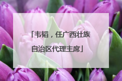 韦韬，任广西壮族自治区代理主席