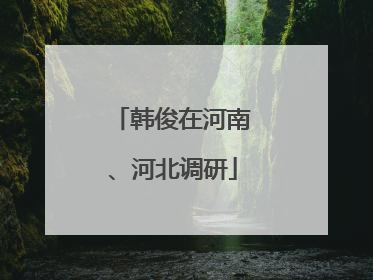 韩俊在河南、河北调研