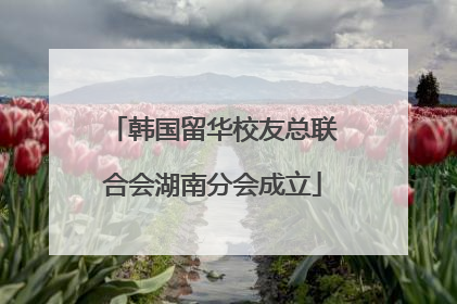 韩国留华校友总联合会湖南分会成立