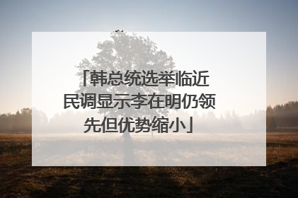 韩总统选举临近 民调显示李在明仍领先但优势缩小