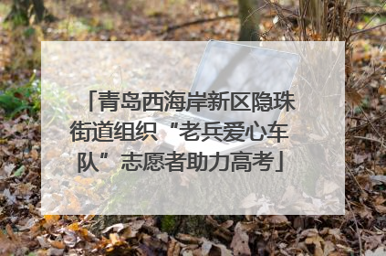 青岛西海岸新区隐珠街道组织“老兵爱心车队”志愿者助力高考