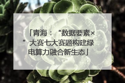 青海：“数据要素×”大赛七大赛题构建绿电算力融合新生态