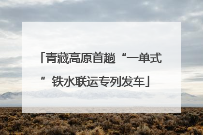 青藏高原首趟“一单式”铁水联运专列发车