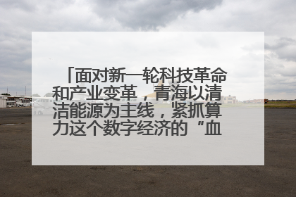 面对新一轮科技革命和产业变革，青海以清洁能源为主线，紧抓算力这个数字经济的“血液”、科技主权的“筹码”、产业升级的“杠杆”、绿色转型的“支点”，勇于撬动国家“双碳”战略、“东数西算”工程重大发展新机遇