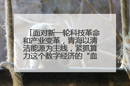 面对新一轮科技革命和产业变革,青海以清洁能源为主线,紧抓算力这个数字经济的“血液”、科技主权的“筹码”、产业升级的“杠杆”、绿色转型的“支点”,勇于撬动国家“双碳”战略、“东数西算”工程重大发展新机遇,点亮绿色算电协同新赛道,蹚出一条符合本地实际的高质量发展之路——青海:“绿色算力” 锚定“东数西算”国家战略布局