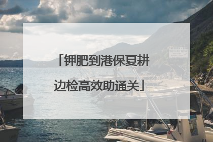 钾肥到港保夏耕 边检高效助通关