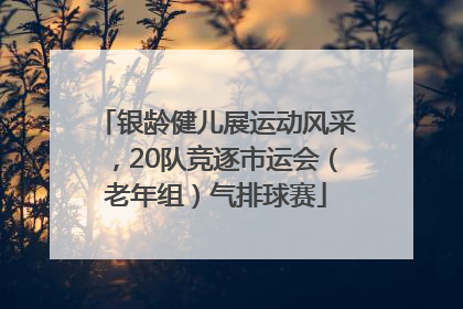 银龄健儿展运动风采，20队竞逐市运会（老年组）气排球赛