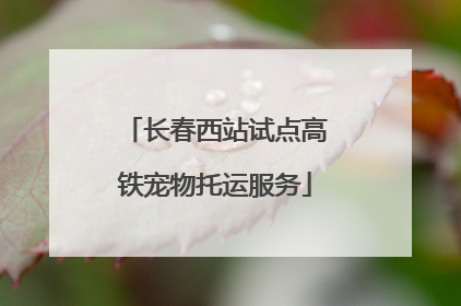 长春西站试点高铁宠物托运服务