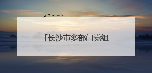 长沙市多部门党组织联合开展关爱企业残疾员工主题党日暨助残日特别活动