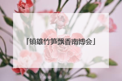 镇雄竹笋飘香南博会