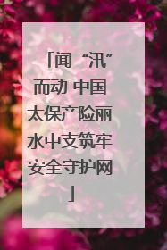 闻“汛”而动 中国太保产险丽水中支筑牢安全守护网