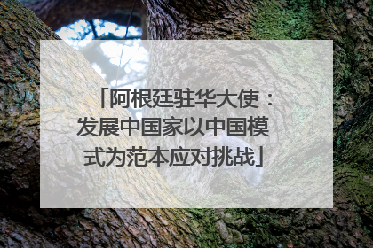阿根廷驻华大使：发展中国家以中国模式为范本应对挑战