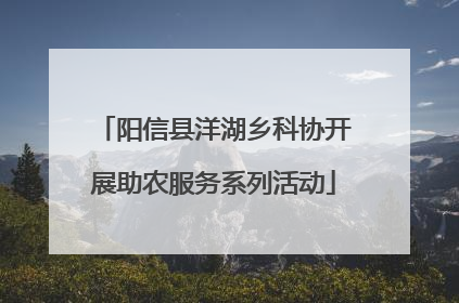 阳信县洋湖乡科协开展助农服务系列活动