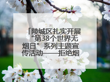 陵城区扎实开展“第38个世界无烟日”系列主题宣传活动——拒绝烟草诱惑 对第一支烟说不