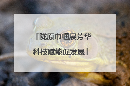 陇原巾帼展芳华 科技赋能促发展