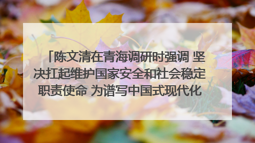 陈文清在青海调研时强调 坚决扛起维护国家安全和社会稳定职责使命 为谱写中国式现代化青海篇章贡献政法力量