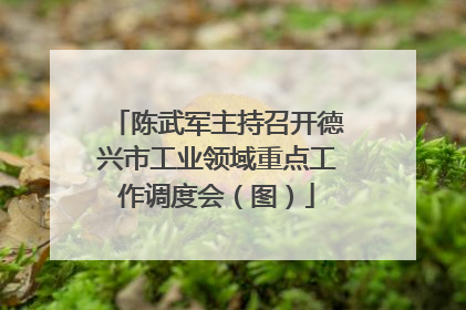 陈武军主持召开德兴市工业领域重点工作调度会（图）