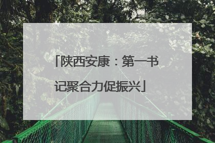 陕西安康：第一书记聚合力促振兴