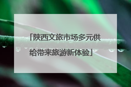 陕西文旅市场多元供给带来旅游新体验