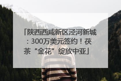 陕西西咸新区泾河新城：300万美元签约！茯茶“金花”绽放中亚
