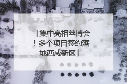 集中亮相丝博会！多个项目签约落地西咸新区