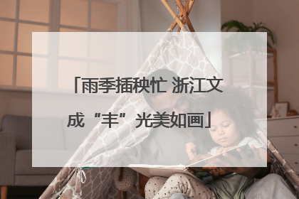 雨季插秧忙 浙江文成“丰”光美如画